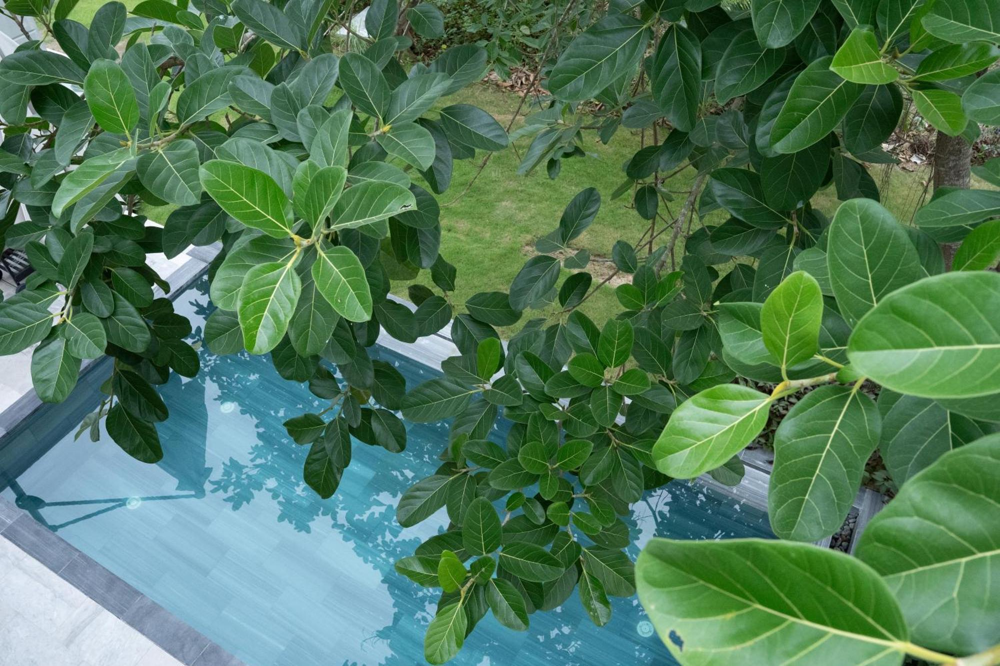 "Brg Golf Club" - Danang Private Pool Villa 3 Bedrooms #3 Екстер'єр фото